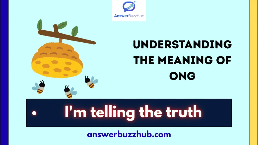 Understanding the Meaning of ONG